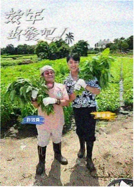 黄瓜种植技术培训